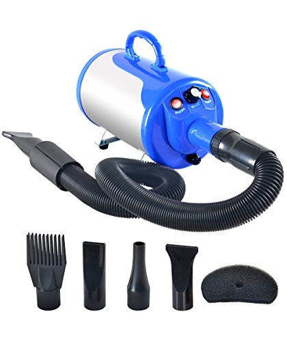 https://m.media-amazon.com/images/I/41FbVuabk0L.jpg