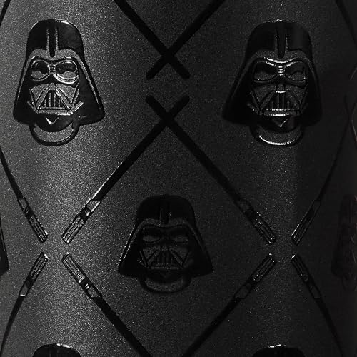 Owala FreeSip Insulated Stainless Steel Water Bottle with Straw 24 Oz Ravenclaw