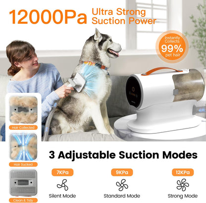 https://m.media-amazon.com/images/I/71G4u86RBML._AC_SL1500_.jpg