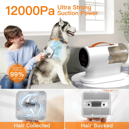 https://m.media-amazon.com/images/I/71OjF+ixYnL._AC_SL1500_.jpg