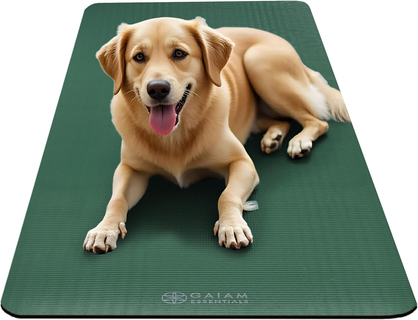 Thick Yoga Mat Pilates Exercise 0.4in Workout Mat with Carrying Strap Green