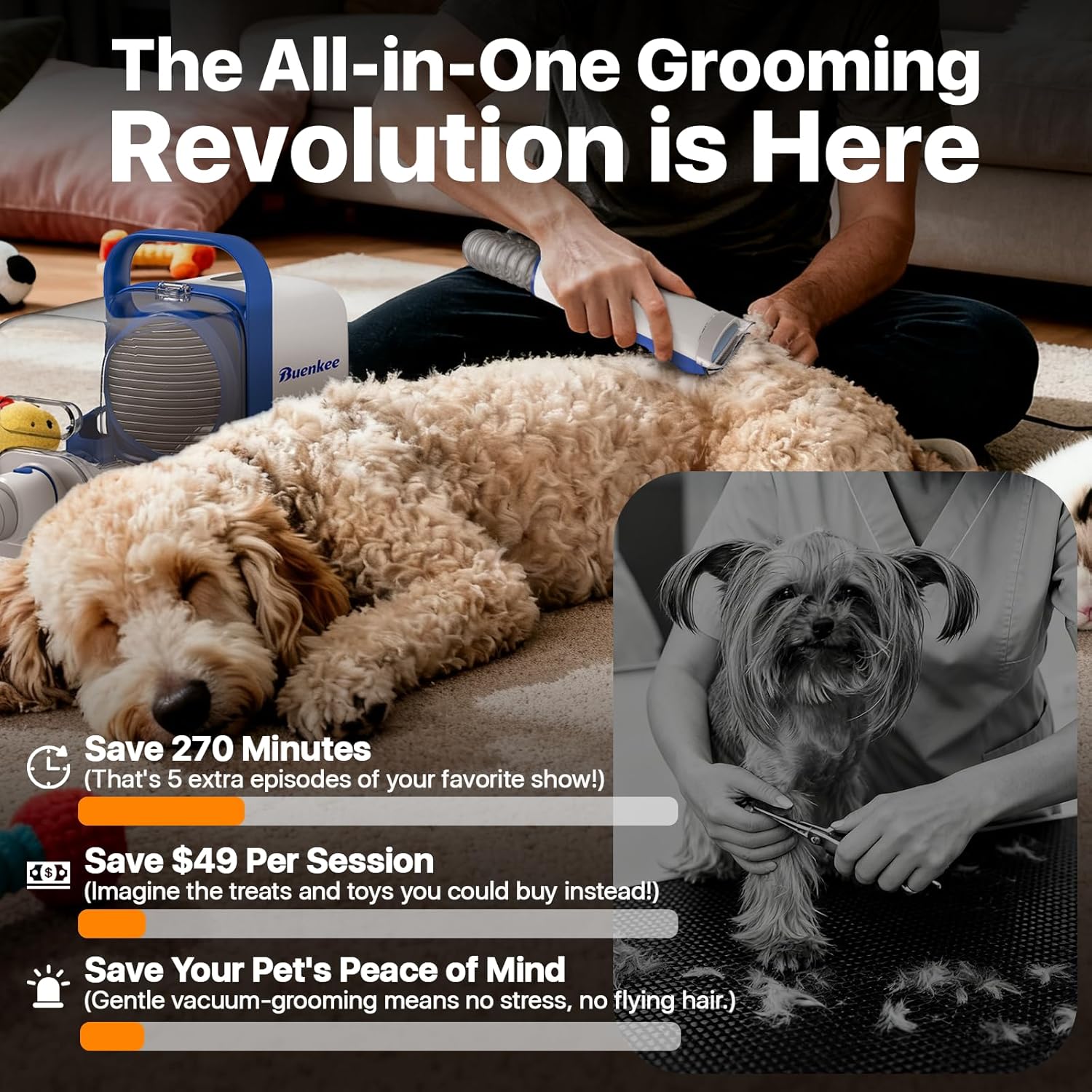 https://m.media-amazon.com/images/I/81PaGg3POiL._AC_SL1500_.jpg