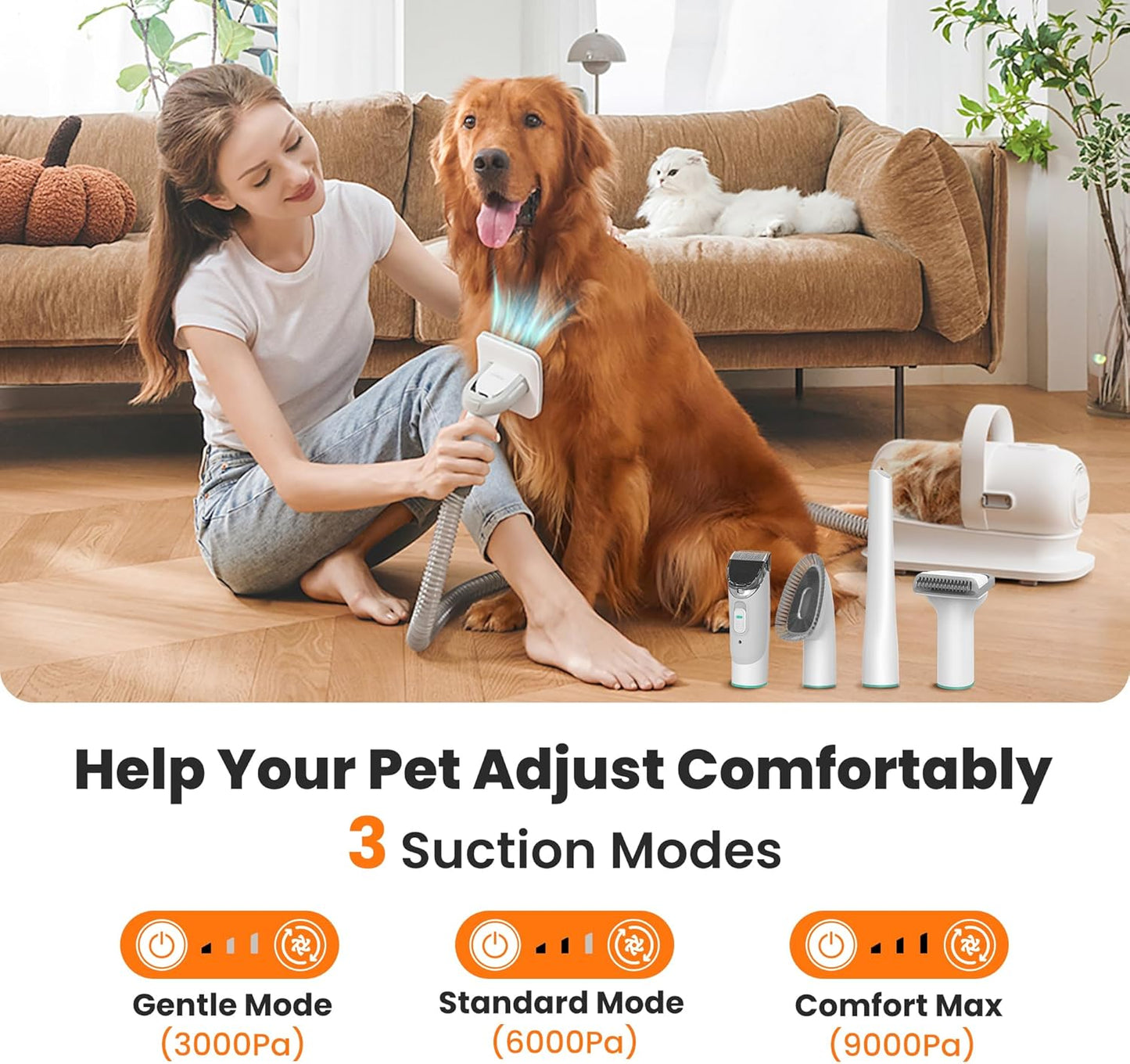 https://m.media-amazon.com/images/I/81QRQJ3MODL._AC_SL1500_.jpg