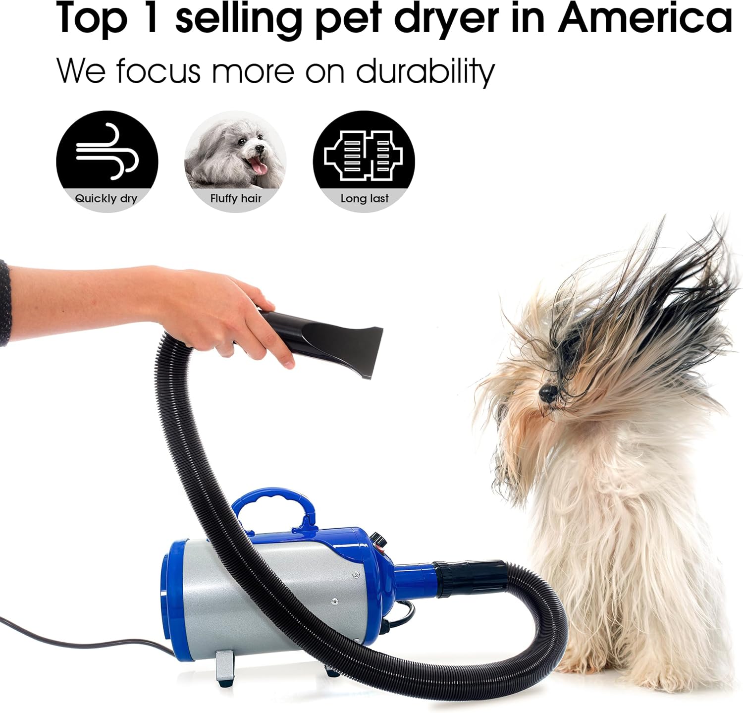 https://m.media-amazon.com/images/I/81jrF4cwN1L._AC_SL1500_.jpg
